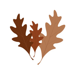 aesthetic foliage vector, autumn leaves 