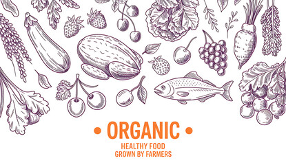 Hand drawn organic fruits vegetables and fish sketch illustration with healthy food theme