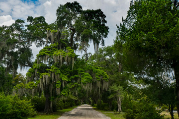 Bonaventure Cemetery in Savannah, Georgia