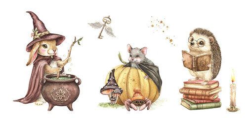 Watercolor Halloween set, bunny in wizard's costume, hedgehog with books, cute spider, bat on pumpkin, vintage cauldron, flying key, candle. Hand drawn illustration isolated. Kids magic print