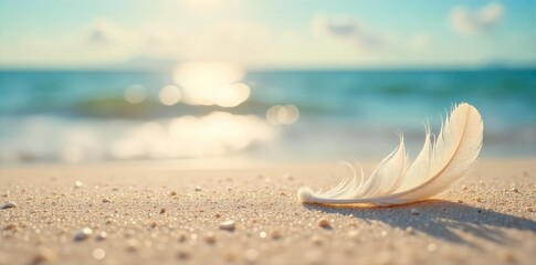 Sunkissed Beach Soft Sand Delicate