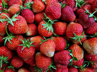 Strawberries background. Fresh strawberries close up. Top view. Close-up, selective focus.