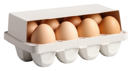 PNG Cardboard egg carton mockup packaging food box gray background.