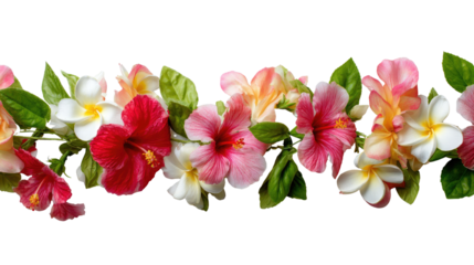 Colorful floral lei made of hibiscus and frangipani flowers arranged in circular garland showing tropical celebration and Hawaiian tradition isolated on white background