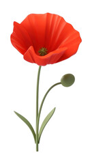 Obraz premium PNG Flower poppy plant