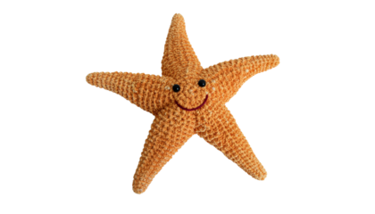 A r sea star, or starfish, an aquatic marine animal, is isolated on a white background.