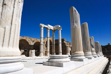 Exploring the Ancient Ruins: A Stunning View of Tall Columns Beneath a Clear Blue Sky, Showcasing the Magnificence of Historical Architecture