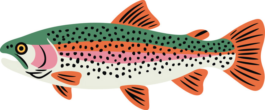 Colorful Cartoon Rainbow Trout Illustration for Educational and Recreational Use