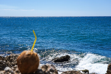 A Refreshing Coconut Drink Set Against a Stunning Ocean View with Waves Crashing on Rocky Shore Under a Clear Blue Sky