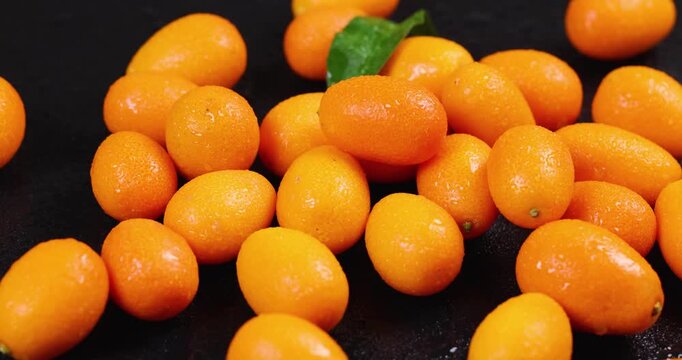 Fresh ripe kumquats rotating on black background