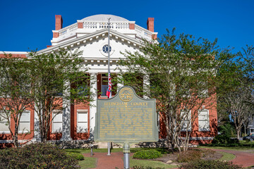 springfield, georgia