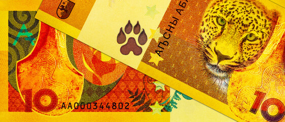 10 Apsar Abkhazia with the image of a Bronze Axe and a traditional staff. Unrecognized Republic of Abkhazia. Money of Abkhazia.