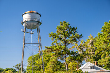 springfield, georgia