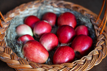 A close-up shot of fresh, ripe red apples in a rustic wicker basket, resting on a bed of dry straw. The apples are a vibrant mix of red and pink hues, suggesting a recent harvest.