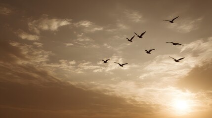 Fototapeta premium Flock of birds flies across a cloudy sky at sunset.