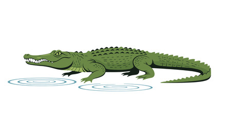 Obraz premium A green alligator walks in the water.