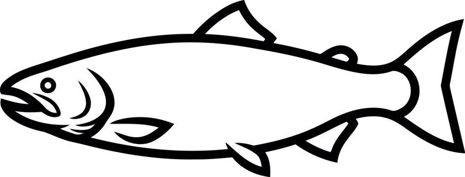 Simple line drawing of a salmon fish in profile