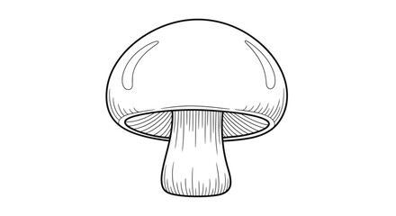 Detailed Line Art Drawing of a Single Mushroom.