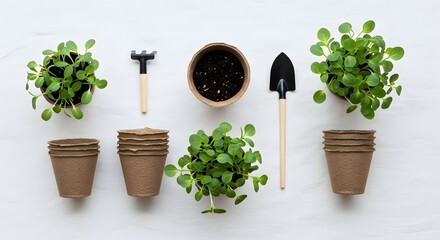 Potted plants with gardening tools and empty pots on white background  