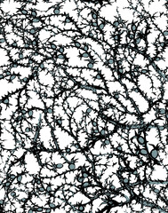 Branches of Blackthorn. Vector drawing