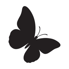 butterfly on white background