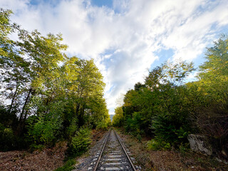 An old stretch of railway, framed by lush trees and a partly cloudy sky. Sunlight filters through the leaves, creating a calm and contemplative atmosphere.