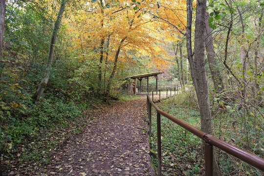 Wanderweg rund um die Rhumequelle bei Rhumspringe in Niedersachsen in Deutschland im Herbst