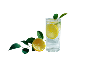 A refreshing drink, glass filled with clear liquid, lemon slice, leaves, and half lemon