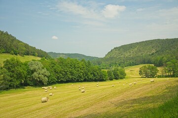 landscape near Jena in Thuringia in summer
