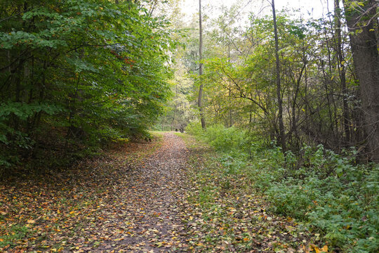 Wanderweg rund um die Rhumequelle bei Rhumspringe in Niedersachsen in Deutschland im Herbst