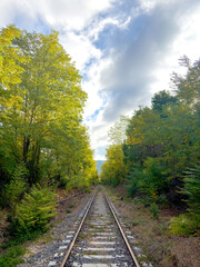 An old stretch of railway, framed by lush trees and a partly cloudy sky. Sunlight filters through the leaves, creating a calm and contemplative atmosphere.