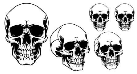 Skull emblem, Skull head icon, Skull sign, Skull minimal vector, Skull abstract art, Skull creative design, Skull warning icon, Skull spooky outline, Skull digital illustration, Skull isolated vector,