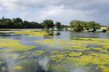 Etang de Carcraon en Ille-et-Vilaine - Bretagne - France