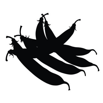 Fresh green bean pods silhouette isolated on natural food ingredient close up silhouette