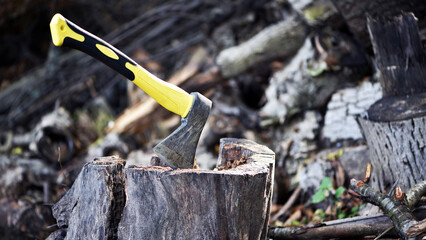 an axe in a stump. A close-up view of a rugged axe embedded in a wooden log, evoking notions of forestry, craftsmanship, and outdoor activities in nature. preparing firewood for the winter