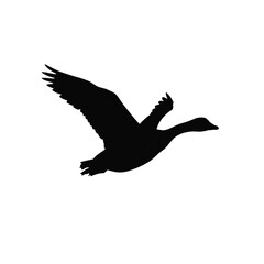 Silhouette of a canada goose flying gracefully with wings spread wide against a silhouette