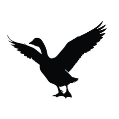 Silhouette of a goose spreading its wings in flight preparation on a silhouette