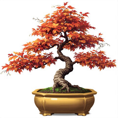 Beautiful Japanese maple bonsai tree with vibrant orange autumn leaves in a golden pot