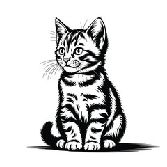 Adorable tabby kitten sitting and looking up