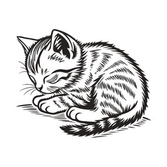 Vintage Engraving Style Illustration of a Sleeping Curled Up Kitten