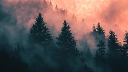 Fototapeta premium Ethereal Misty Forest Landscape with Silhouetted Pine Trees Against a Vibrant Sunrise or Sunset Sky