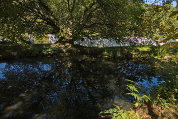 Pond in monastery in Zlata Koruna, Cesky Krumlov district,Czech republic,Europe

