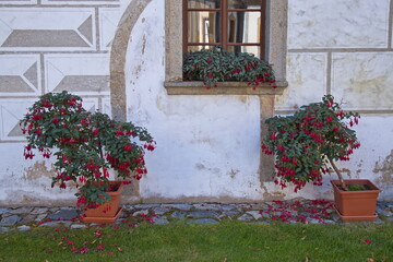 Monastery in Zlata Koruna, Cesky Krumlov district,Czech republic,Europe
