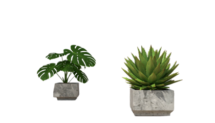 Two potted plants, one leafy, one spiky, set against a void background