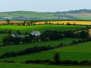 The image is peaceful. It shows green fields, hedges, farmhouses and cultivated farmland in the rolling hills of West Cork, Ireland, under a cloudy sky. © Oleksii