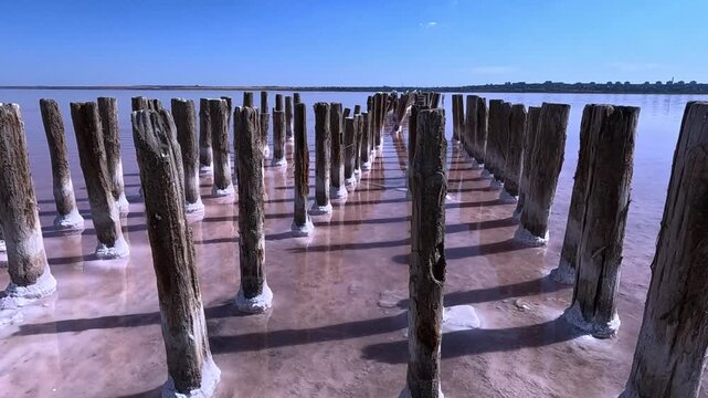 Sodium Chloride crystallized on the bottom and wooden poles