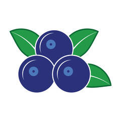 Simple Blueberry Icon - Flat Design Fruit Vector with Leaves