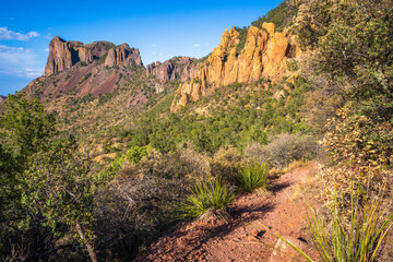 hiking in the beautiful nature of big bend national park in texas in the usa