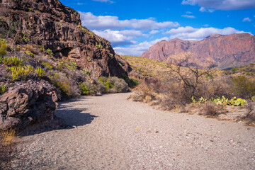 hiking in the beautiful nature of big bend national park in texas in the usa