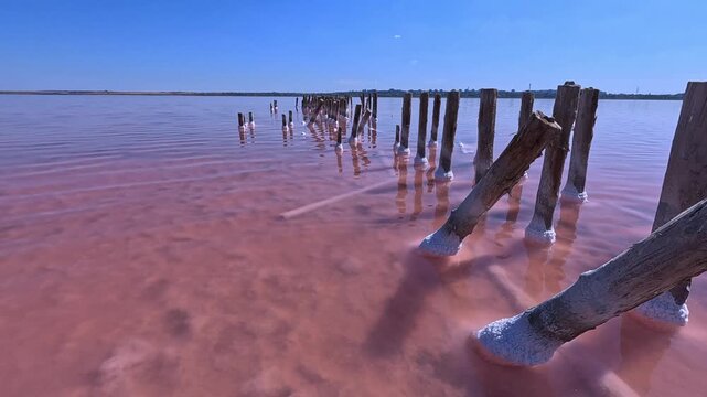 Sodium Chloride crystallized on the bottom and wooden poles